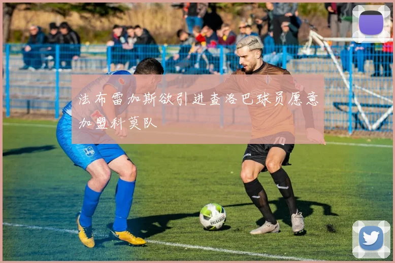 法布雷加斯欲引进查洛巴球员愿意加盟科莫队